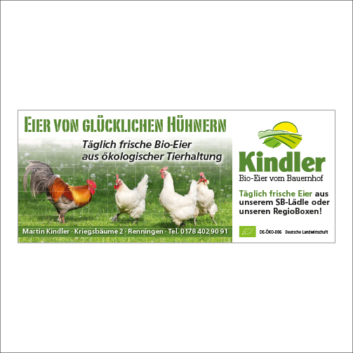 Mesh-Banner 3 x 1,25 m